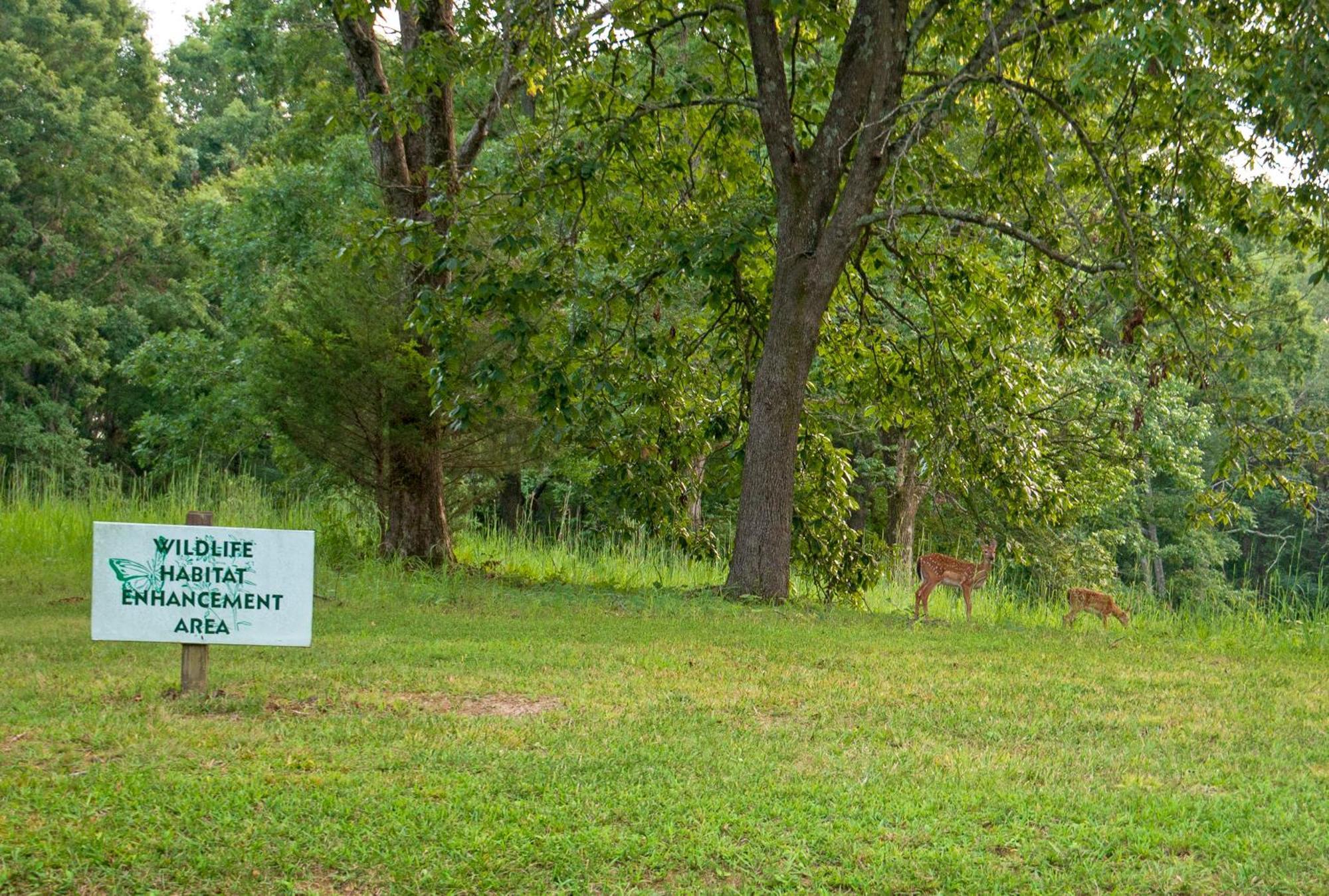 Barren River Lake State Resort Park Lucas Екстер'єр фото